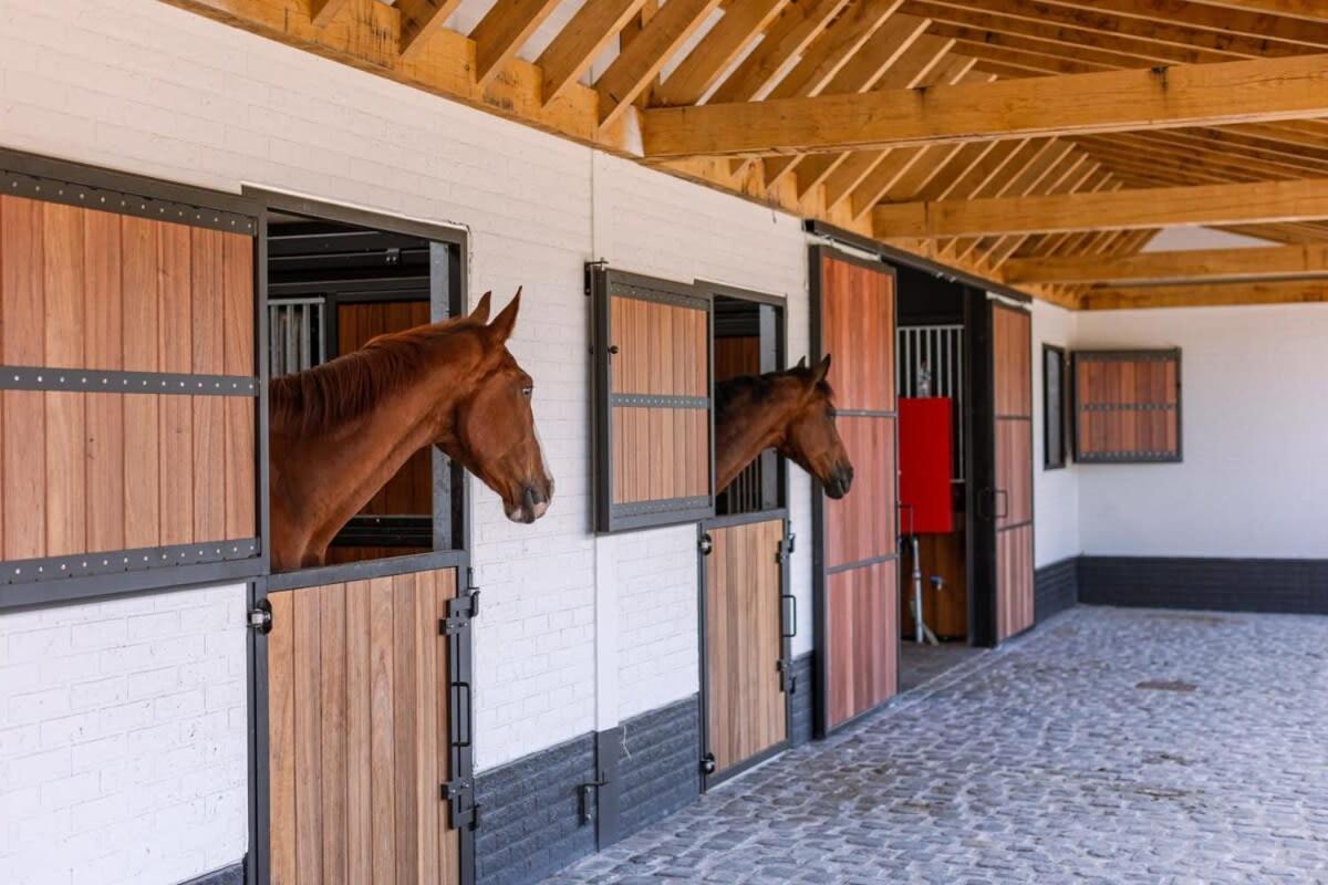 Huswell - Lady - Lovely Double Room At Ranch De Blauwe Zaal Μπριζ Εξωτερικό φωτογραφία